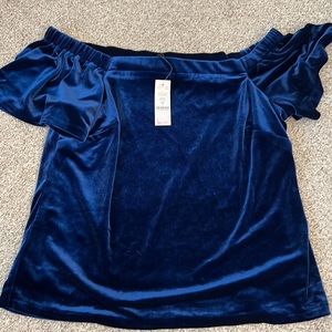 NWT Blue velvet blouse from WHBM